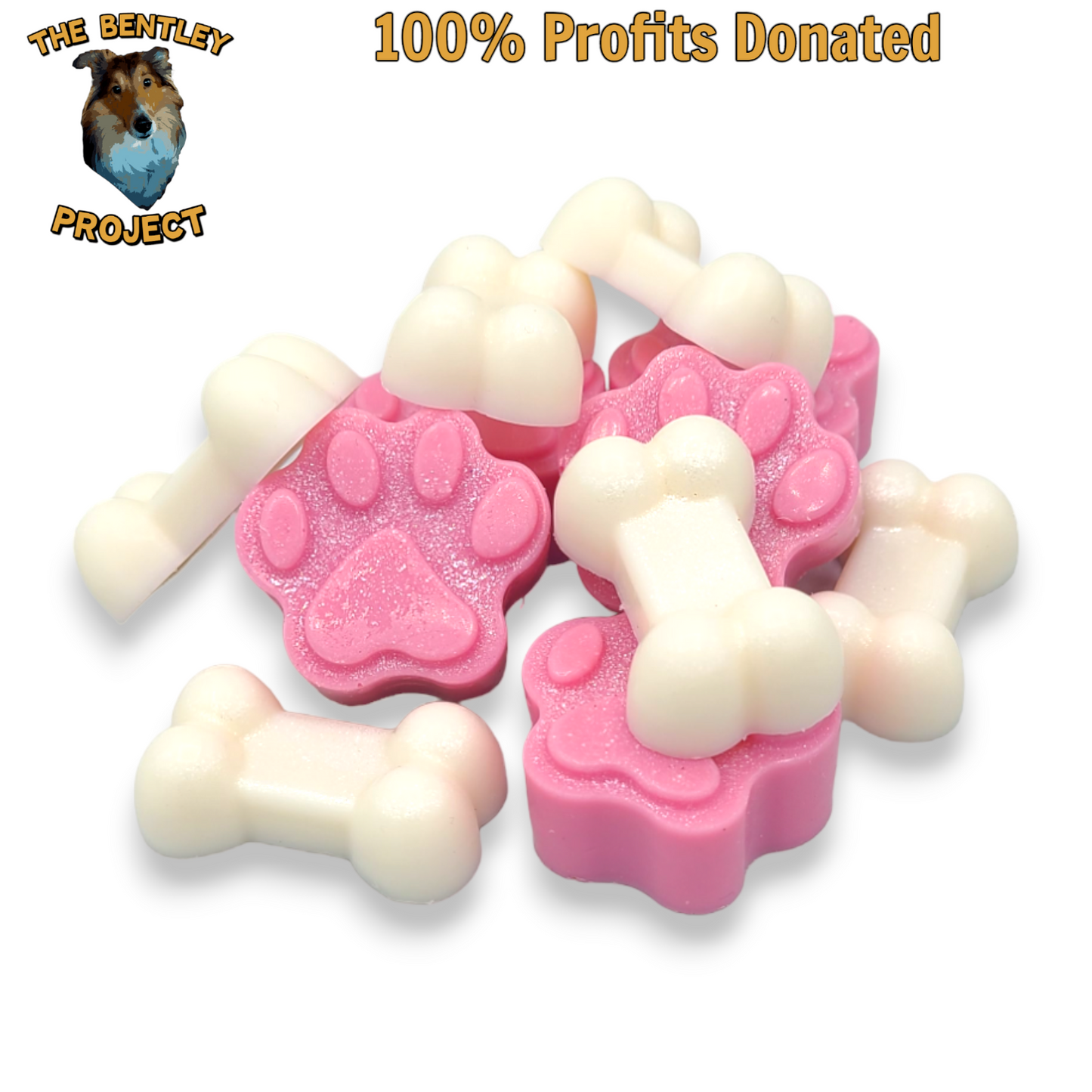 Paws N' Bones  Sea Salt & Orchid Charity Melts + Founders Pin! - 3.5oz Pack