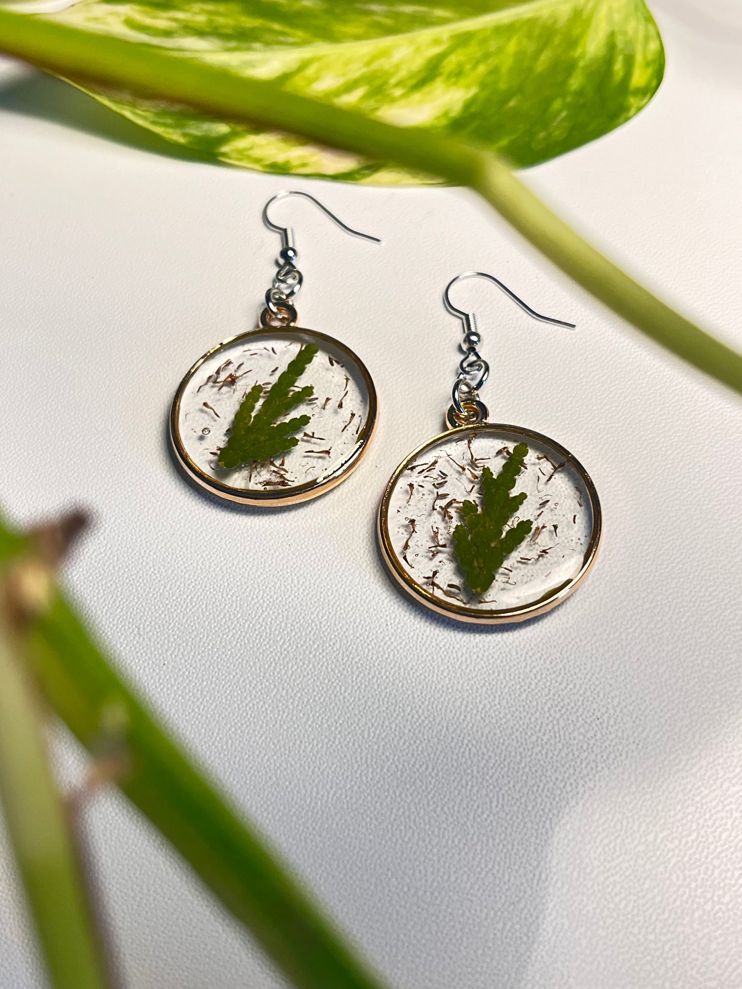 Cedar Tree Leaf & Mugwort Seed Earrings