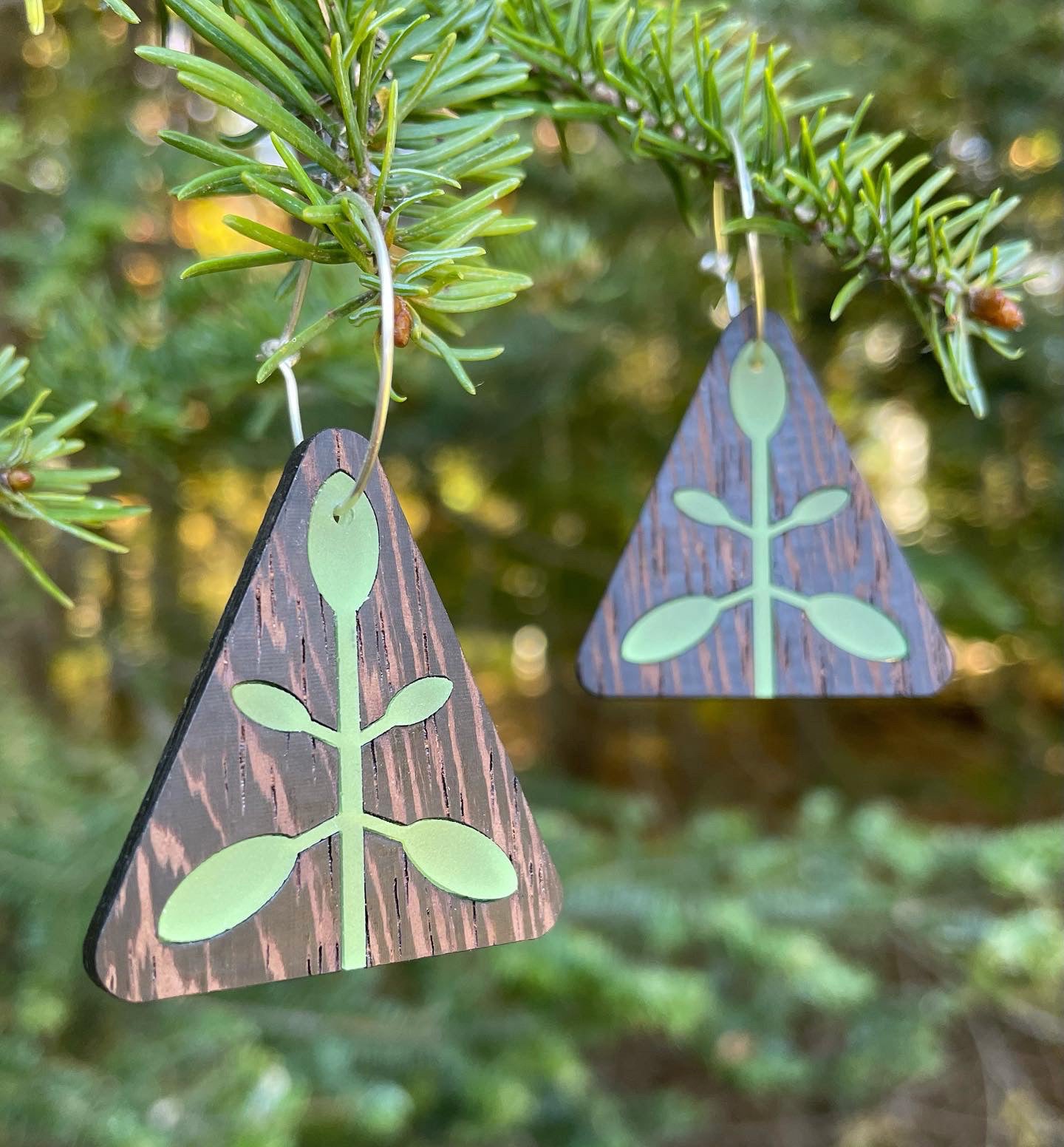 Solid Wenge With Acrylic Inset Earrings