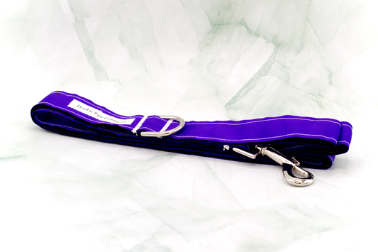 Pet Leash With Clip Purple 6'